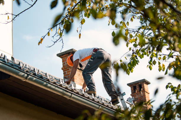 Best Storm Damage Roof Repair  in Jacksonvle, IL