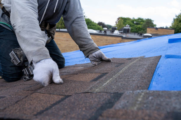 Best Roof Replacement Cost  in Jacksonvle, IL