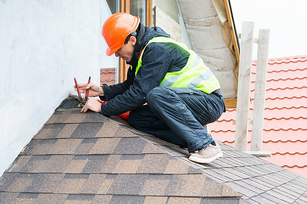 Best Roof Maintenance Services  in Jacksonvle, IL