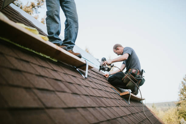 Best Flat Roof Repair Services  in Jacksonvle, IL
