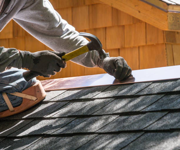 Best Roof Gutter Cleaning  in Jacksonvle, IL